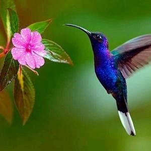 Meet your Posher, Monica